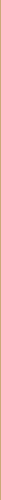 Image unie de couleur beige.